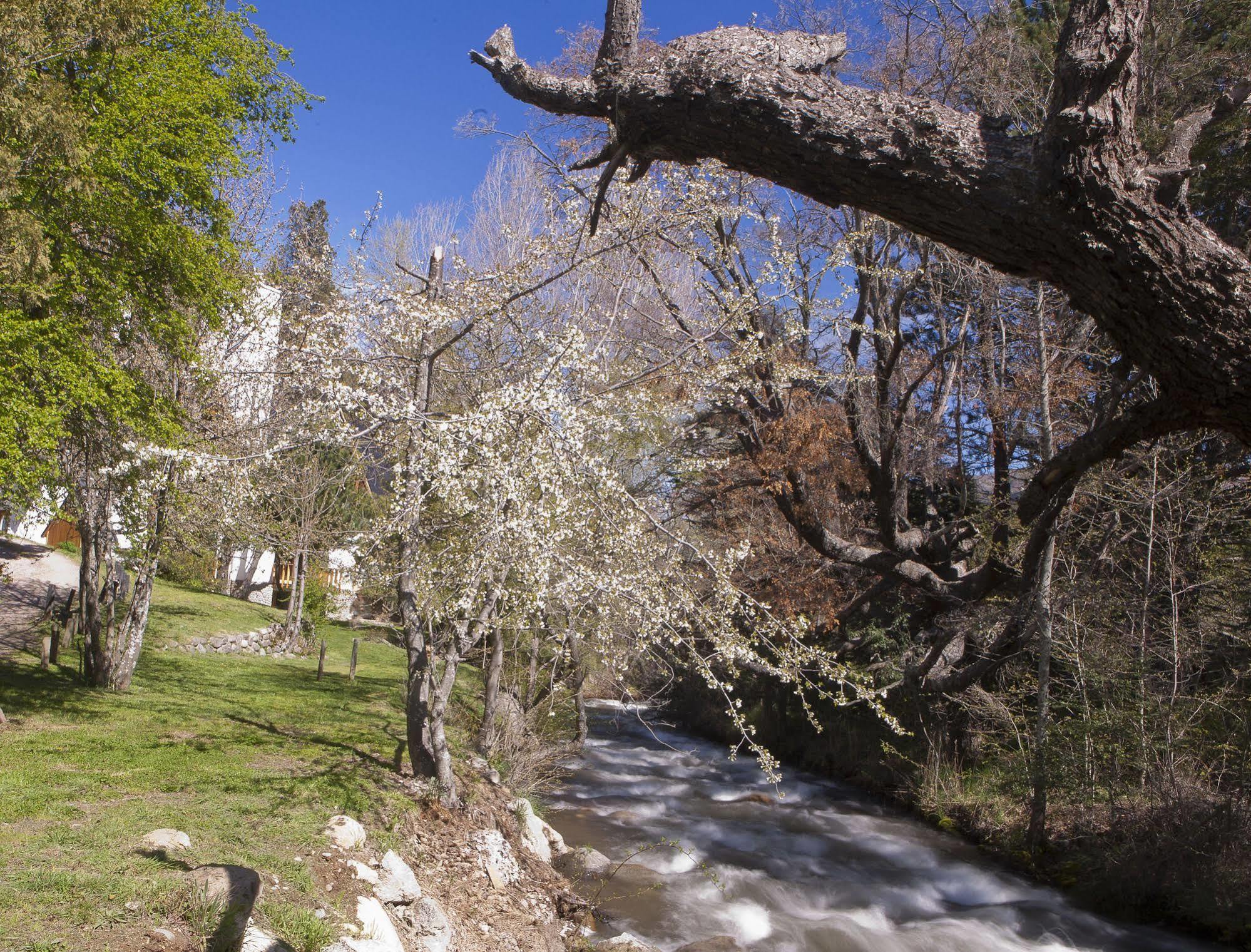 Cabanas Rucaleufu San Martín de los Andes 외부 사진