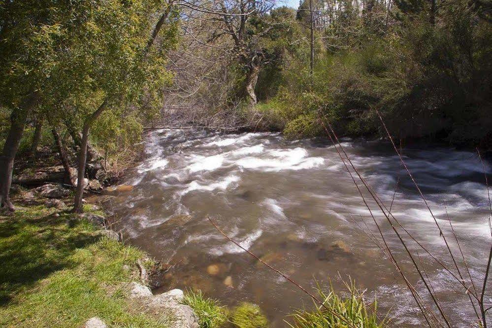 Cabanas Rucaleufu San Martín de los Andes 외부 사진